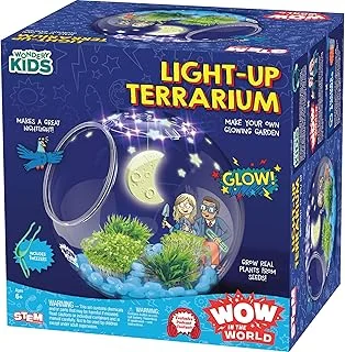 eugenetoyandhobby32444955