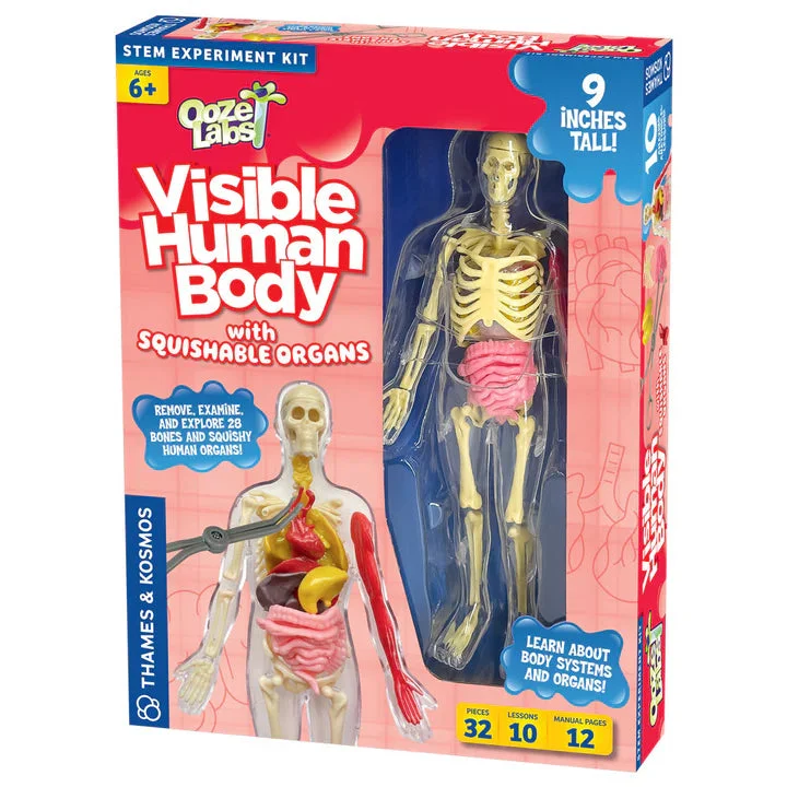 friendlyhobbies22395911
